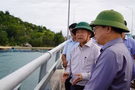 Bí thư Tỉnh ủy Thái Đại Ngọc khảo sát các dự án trọng điểm dọc tuyến đường ven biển.