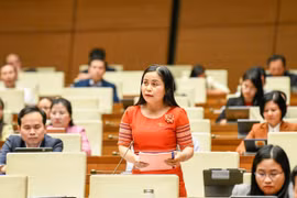 ĐB Rơ Châm H’Phik đề xuất cần sửa đổi quy định để tạo điều kiện cho người dân thực hiện bán, thừa kế, tặng, cho tài sản gắn liền với đất thuê.
