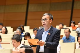 Đại biểu Quốc hội Đồng Ngọc Ba nhấn mạnh tăng cường năng lực xây dựng chính sách, pháp luật là nhiệm vụ vừa cấp bách vừa lâu dài.