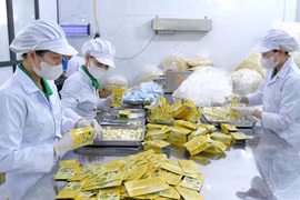 Trong lĩnh vực chế biến, việc đưa khoa học công nghệ vào chế biến sâu đã góp phần nâng tầm giá trị nông sản Gia Lai trên thị trường. 