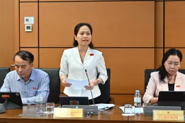 Tích hợp 4 chương trình mục tiêu quốc gia: Phải sát thực tiễn, nâng cao hiệu quả sử dụng nguồn lực