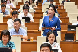 ĐB Lý Tiết Hạnh đề nghị tiếp tục hoàn thiện chính sách đất đai, bảo đảm sinh kế cho người dân. Ảnh: Đoàn ĐBQH tỉnh Gia Lai