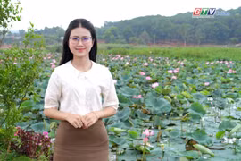 Thông Viu – Góc chill giữa phố núi Pleiku