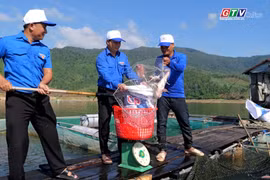 Thanh niên Vĩnh Thạnh làm giàu từ cá diêu hồng trên hồ Định Bình