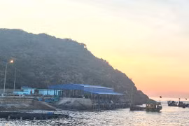 Cho phép 7 hộ sản xuất, chế biến thủy sản tại Cảng cá Nhơn Lý hoạt động đến cuối năm 2026.