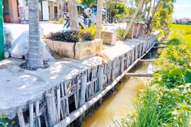 Nông dân Tuy Phước Bắc gặp khó do kênh mương xuống cấp