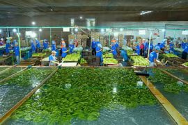 Gia Lai mở rộng đầu tư sang các tỉnh Ðông Bắc Campuchia