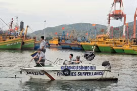 Hoàn thiện khung pháp lý cho nghề cá phát triển bền vững