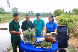 Hỗ trợ nông dân đưa nông sản lên nền tảng số