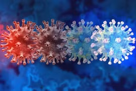 Bộ Y tế theo dõi chặt chẽ biến thể virus SARS-CoV-2 BA.3.2