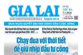 Báo Gia Lai số thứ ba ngày 7-7-2026