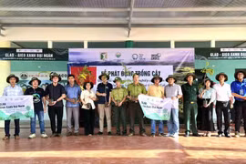 Phục hồi cảnh quan xanh, tăng sức chống chịu trước biến đổi khí hậu