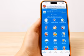 Ra mắt ứng dụng hướng dẫn phòng, chống thiên tai