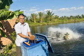 Người “gieo nghề” nuôi cá giống ở Ia Hiao