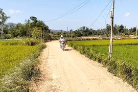 Người dân xóm Vườn Dừa có con đường mới