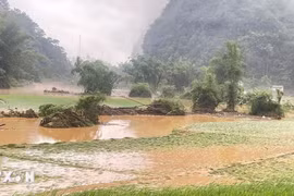 Thời tiết ngày 20/7: Bắc Bộ mưa dông, Trung Bộ nắng nóng kéo dài