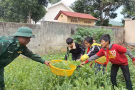 Rau xanh biên phòng nâng bước học sinh đến trường
