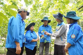 Học làm nông nghiệp qua những mùa cây