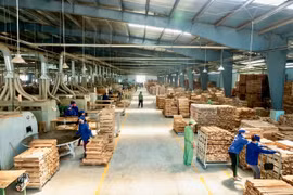 Mở rộng quy mô, nâng sức cạnh tranh cho kinh tế tư nhân