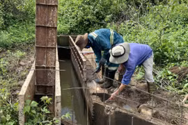 Tạo đà cho “trụ đỡ” của ngành nông nghiệp bứt phá - Kỳ 1: Khơi thông nguồn lực