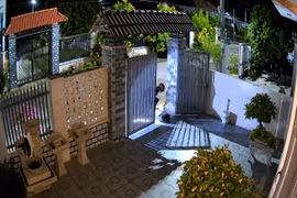 Bất an vì nạn trộm chó tái diễn