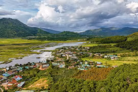 Gia Lai City Trail 2026: Cung đường khắc nghiệt nhưng giàu trải nghiệm