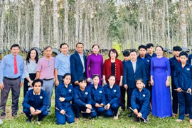 Nữ doanh nhân Đồng Thị Ánh: Kết nối là một phần của năng lực kinh doanh