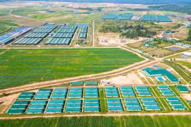 Đưa doanh nghiệp tiến sâu vào thị trường quốc tế