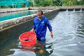 Triển vọng mô hình nuôi cá tầm ở “ốc đảo” Kon Pne