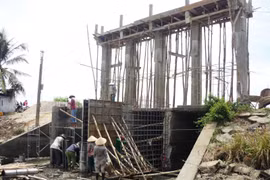Khẩn trương gia cố đê Khu Ðông trước mùa mưa lũ