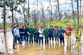 Văn nghệ sĩ “làm giàu” từ những chuyến đi