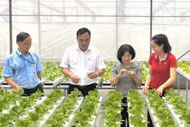 Khi chính sách cho khoa học - công nghệ được 'trao tay'
