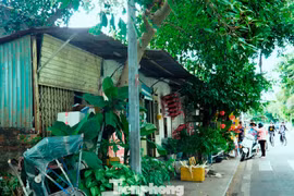 Vướng mặt bằng, dự án bảo tồn Kinh thành Huế chậm tiến độ