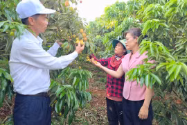 Học và làm theo Bác từ những việc thiết thực