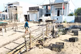 Xã Ðề Gi quyết tâm chấm dứt hoạt động sơ chế mực xà