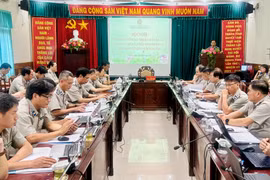 Chuẩn hóa dữ liệu, nâng hiệu quả thi hành án dân sự