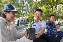  Mầm xanh trên cát mặn ở đảo Sinh Tồn Đông 
