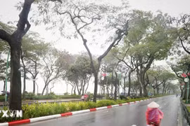 Thời tiết ngày 16/2: Bắc Bộ mưa nhỏ, trời rét, Nam Bộ có mưa rào