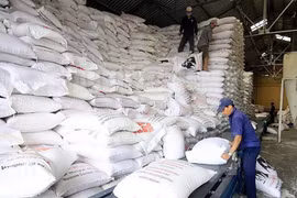Thủ tướng Chính phủ yêu cầu khẩn cấp hỗ trợ miền Trung khắc phục hậu quả mưa lũ