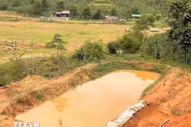 Đắk Nông: Đuối nước thương tâm tại ao trải bạt, 2 cháu nhỏ tử vong
