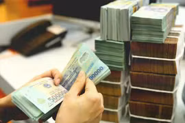 Doanh nghiệp tư nhân làm dự án xanh có thể được hỗ trợ lãi suất 2%