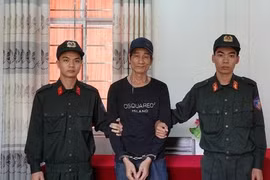 Chủ chấp hành án, người trông vườn gọi bạn đến trộm gỗ quý