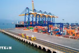 Hoa Kỳ áp thuế đối ứng: AmCham Việt Nam và Hiệp hội chăn nuôi tiếp tục lên tiếng