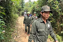 Theo chân ông Voi