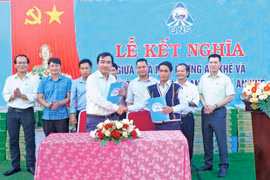 Nhà máy Đường An Khê: Phát triển sản xuất kinh doanh gắn với an sinh xã hội
