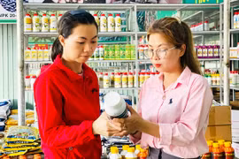 Tăng cường kiểm soát phân bón, thuốc bảo vệ thực vật