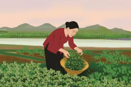 Rau dại quê nhà
