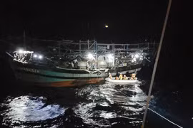Bình Định kêu gọi hỗ trợ tìm kiếm 2 ngư dân mất tích trên biển