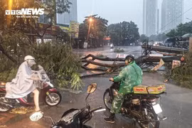 Cuối tháng 9, Biển Đông có thể đón 1-2 cơn bão mạnh