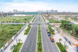 Sự nhất quán của chính sách